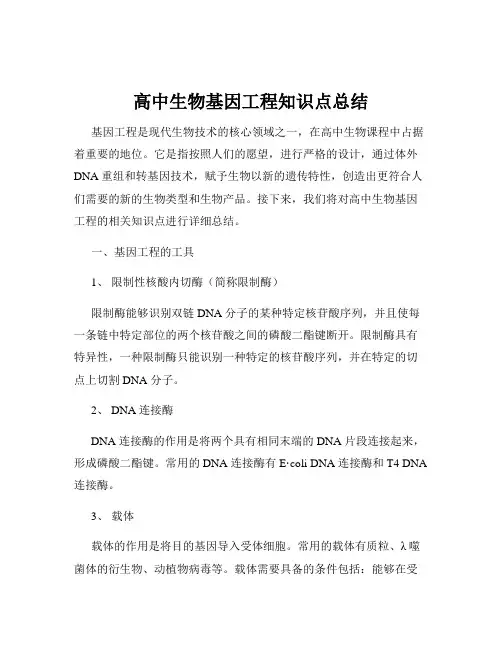 高中生物基因工程知识点总结