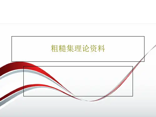 粗糙集理论资料共112页文档