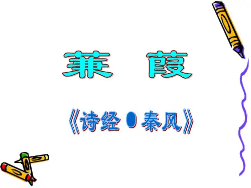 24.蒹葭课件