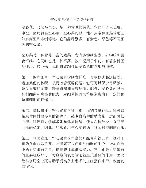空心菜的作用与功效与作用