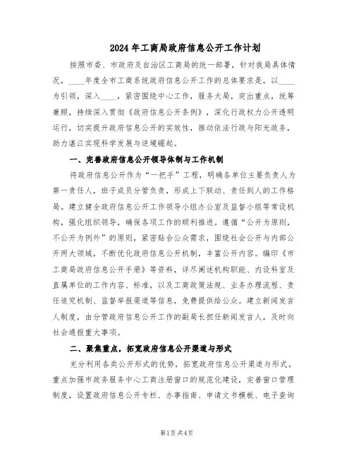 2024年工商局政府信息公开工作计划(二篇)