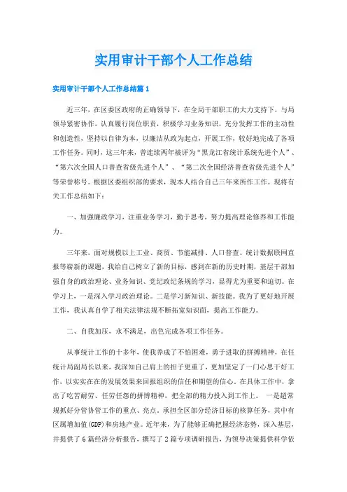 实用审计干部个人工作总结