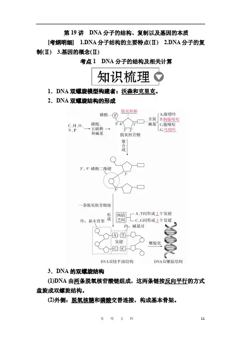 高考生物一轮讲义：第19讲 DNA分子的结构、复制以及基因的本质 Word版含解析
