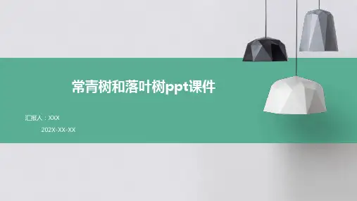 常青树和落叶树ppt课件