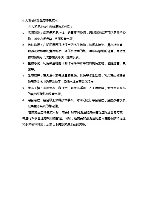 6大湖泊水体生态修复技术