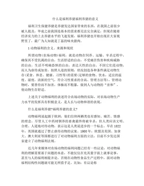 什么是福利养猪福利养猪的意义