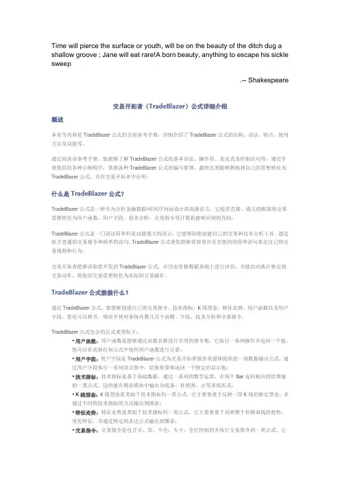 交易开拓者(TradeBlazer)公式详细介