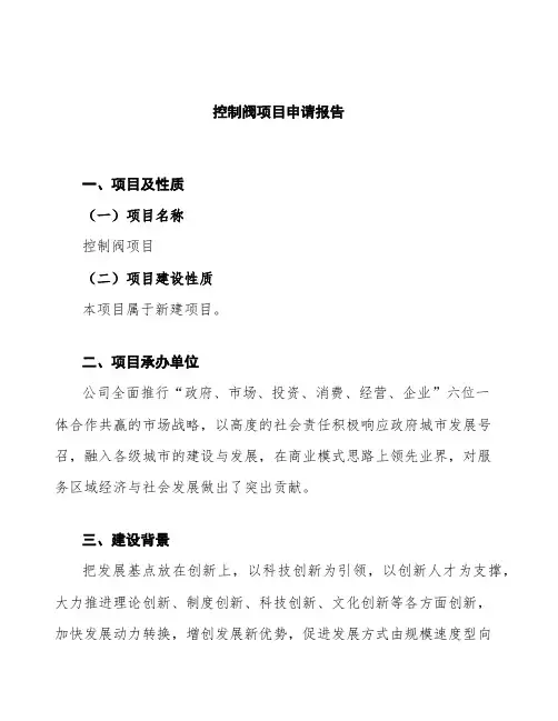 控制阀项目申请报告