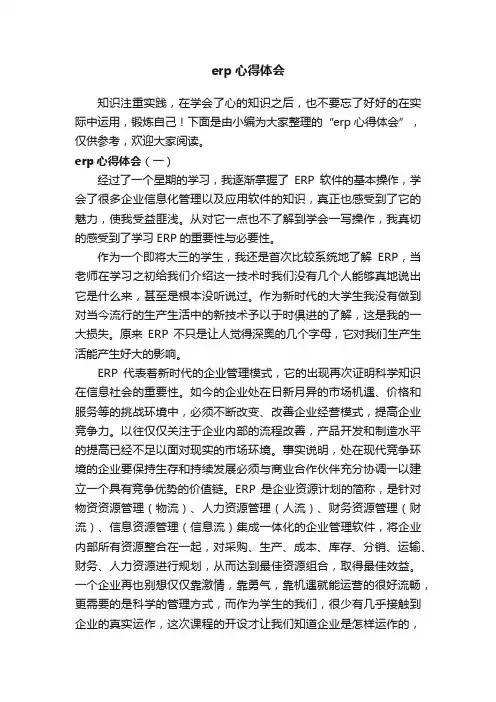 erp心得体会
