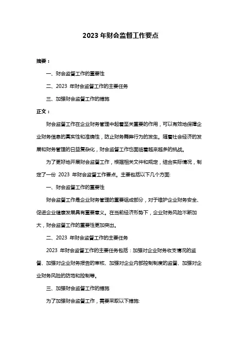 2023年财会监督工作要点