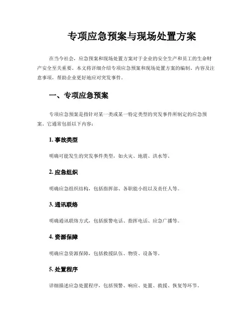 专项应急预案与现场处置方案
