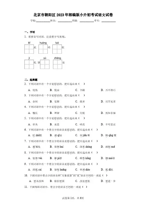 北京市朝阳区2023年部编版小升初考试语文试卷(含答案解析)