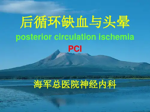 后循环缺血课件