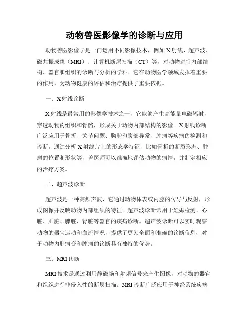 动物兽医影像学的诊断与应用