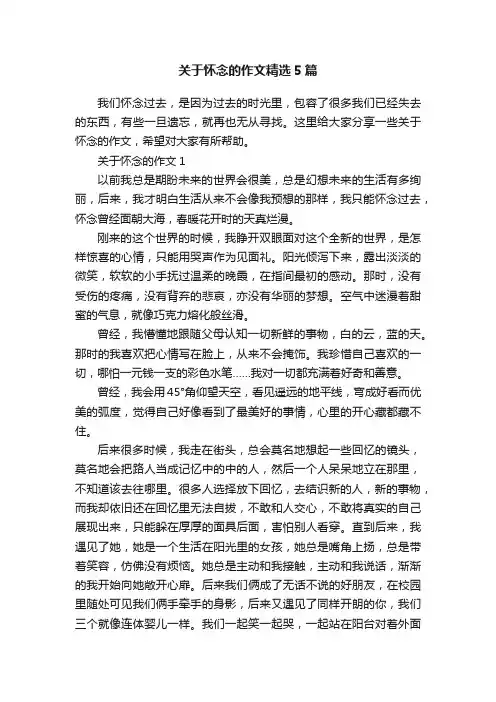关于怀念的作文精选5篇
