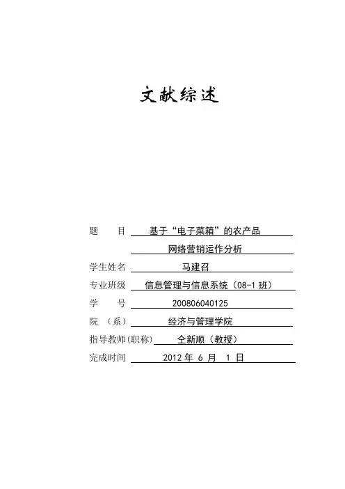 网络营销文献综述