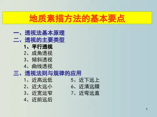 地质素描方法的基本要点 教学PPT课件