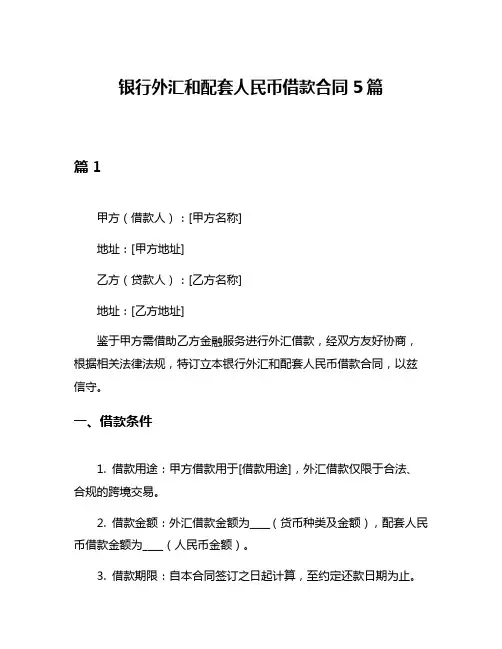 银行外汇和配套人民币借款合同5篇
