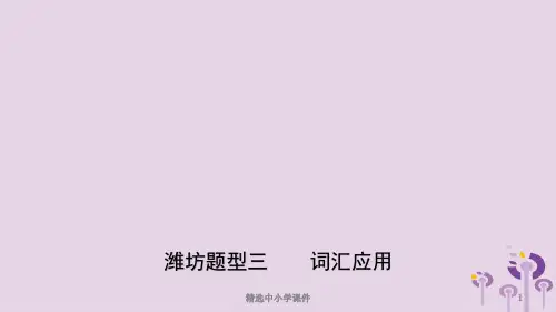 精选-中考英语题型专项复习题型三词汇运用课件