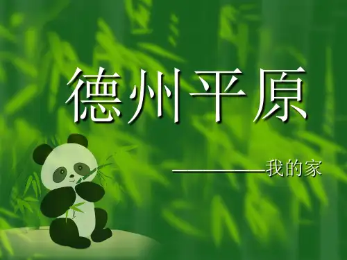 德州平原