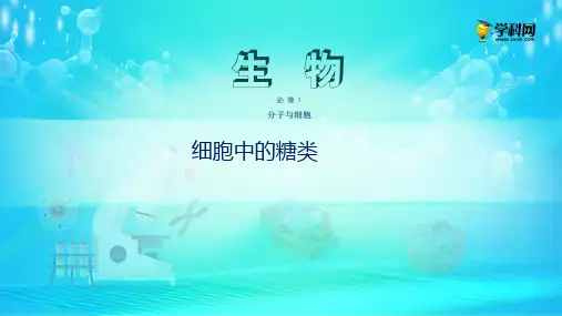 《糖类》人教版高中化学实用PPT1