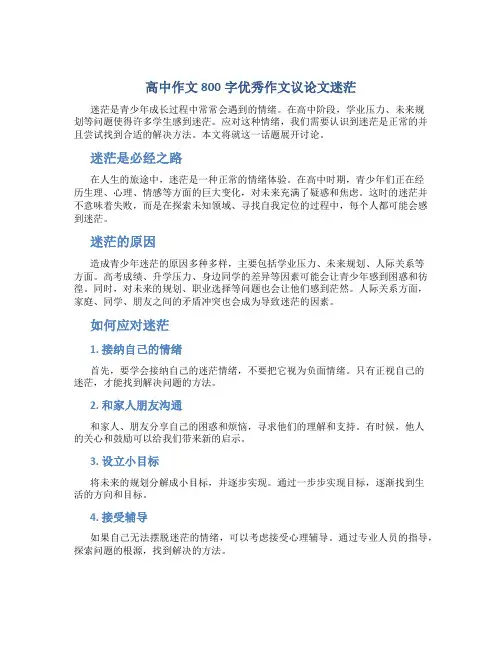 高中作文800字优秀作文议论文迷茫