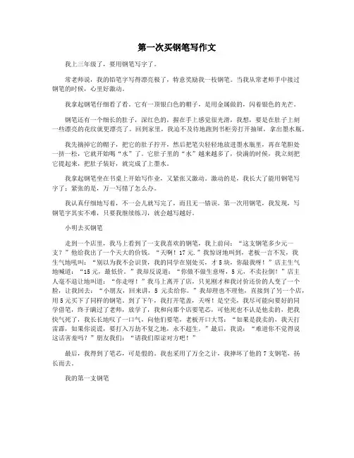 第一次买钢笔写作文