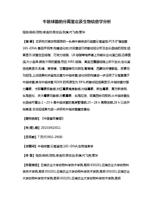 牛链球菌的分离鉴定及生物信息学分析