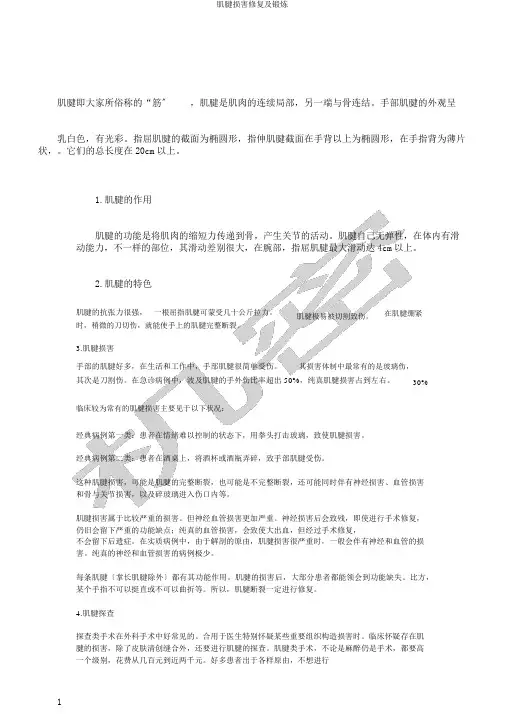 肌腱损伤修复及锻炼