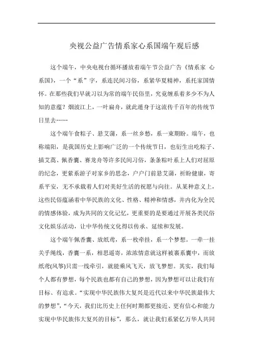 央视公益广告情系家心系国端午观后感