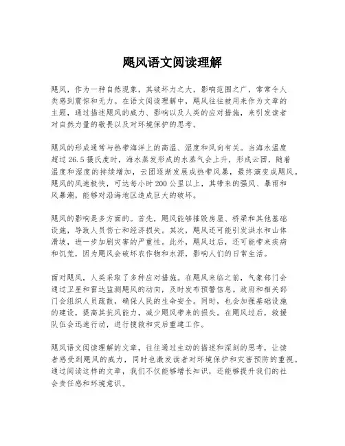 飓风语文阅读理解