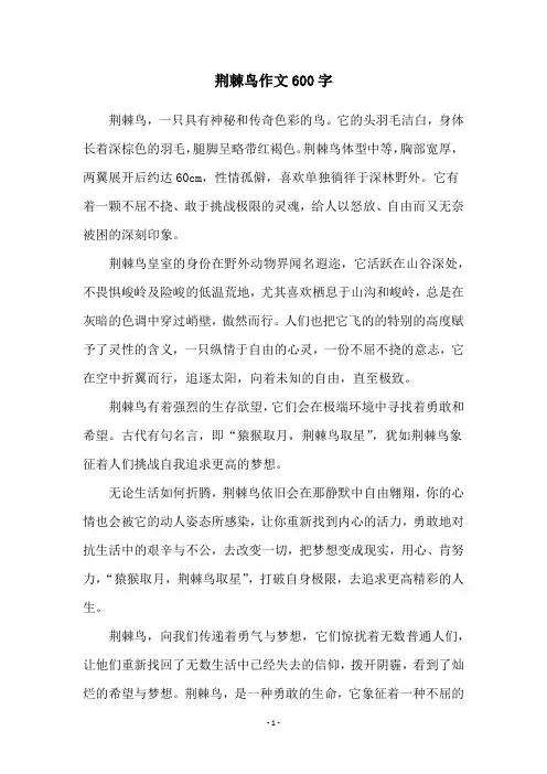 荆棘鸟作文600字