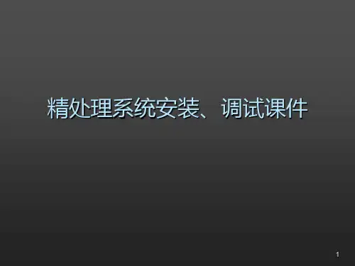 精处理系统安装调试 PPT课件