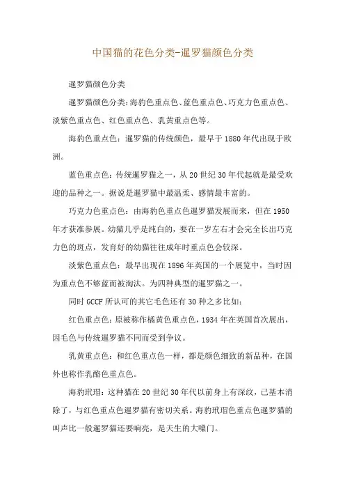 中国猫的花色分类-暹罗猫颜色分类