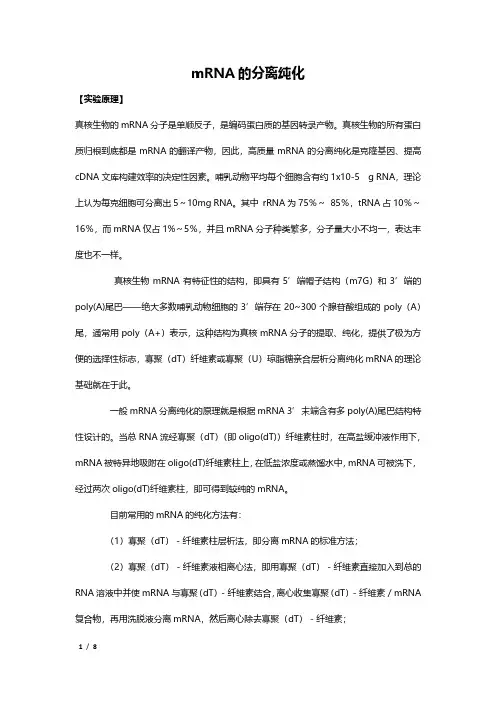 mRNA的分离纯化