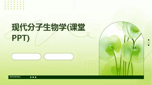 现代分子生物学(课堂PPT)