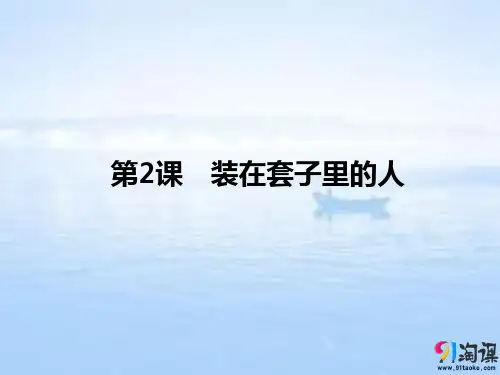 课件11：第2课 装在套子里的人