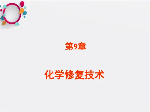 《土壤污染化学修复》PPT课件