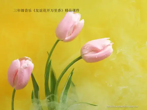 三年级音乐《友谊花开万里香》课件