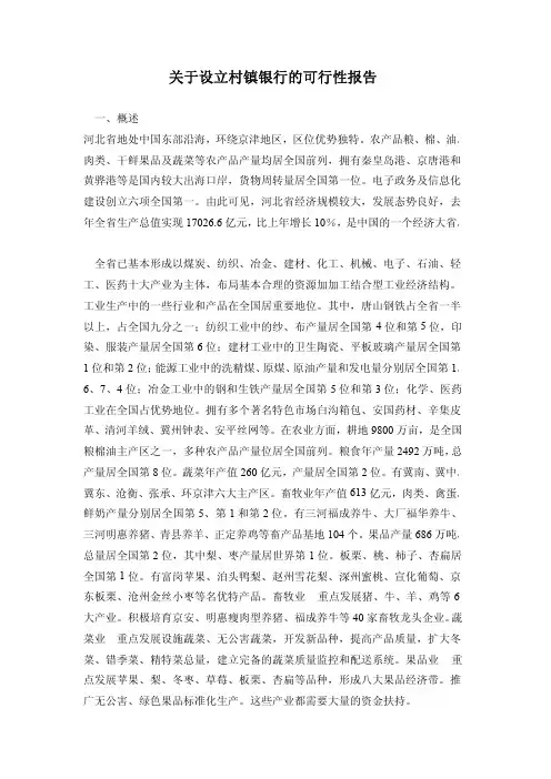 关于设立村镇银行的可行性报告