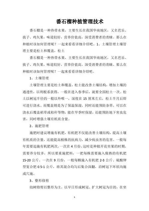 番石榴种植管理技术
