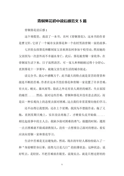 青铜葵花初中读后感范文5篇