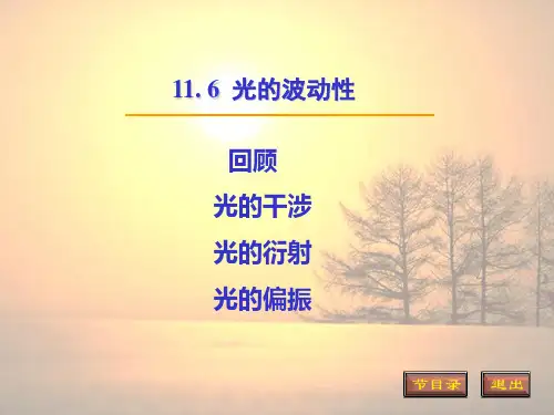 (完整)光的波动性精品PPT资料精品PPT资料