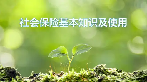 社保基础知识培训ppt