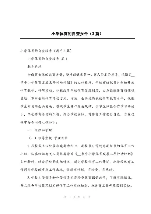 2024年小学体育的自查报告(3篇)