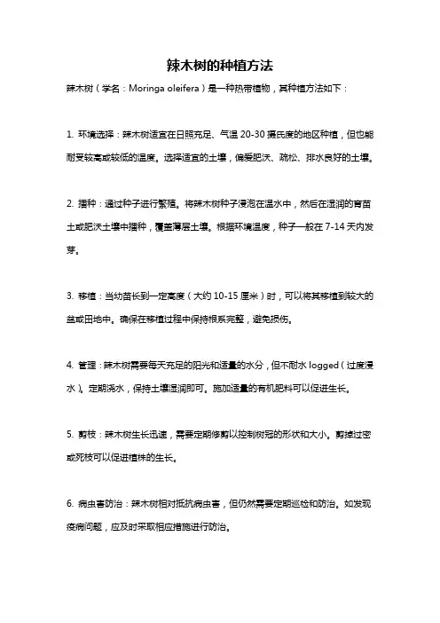 辣木树的种植方法