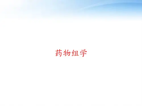 药物组学 ppt课件