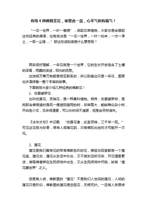 有缘4种佛教圣花，家里养一盆，心平气和有福气！