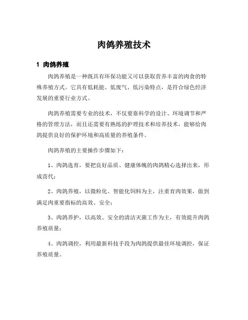 肉鸽养殖技术