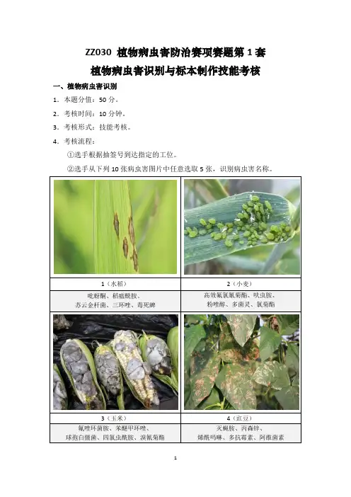 ZZ030 中职国赛植物病虫害防治赛项题库(共10套)